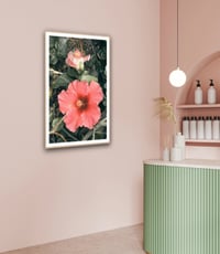 Image 5 of Hibiscus fine art photograph 