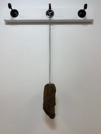 Image 2 of LYNNE FRANCIOSE - "The ups and downs of life"