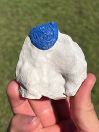 Image 10 of Azurite Suns On Matrix Specimen | NT Australia #2954