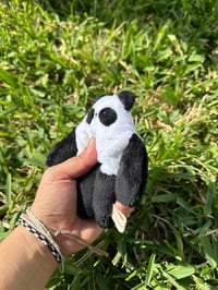 Image 5 of Mini Panda bloog