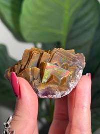 Image 6 of NATURAL RAINBOW IRIDESCENT CUBIC FLUORITE -CHINA- L