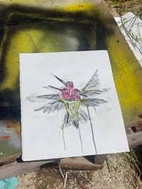 Image 2 of Anna’s hummingbird 