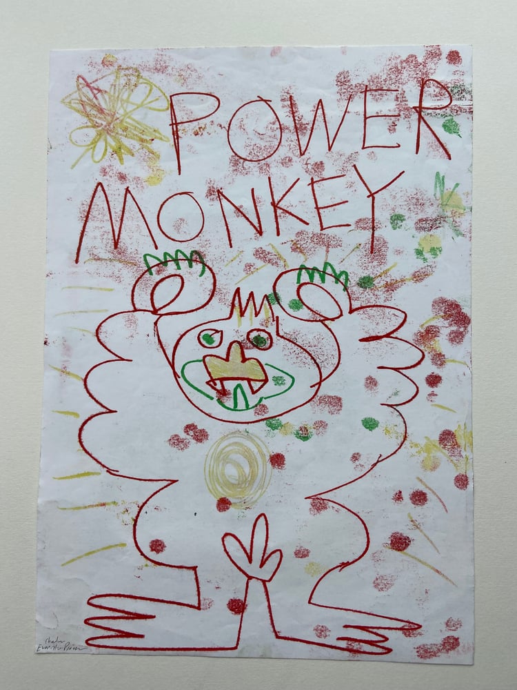 Image of Power Monkey Power
