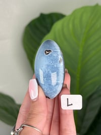 Image 12 of BLUE OPAL SHIVAS