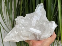 Image 1 of Clear Quartz Crystal Points Cluster #346