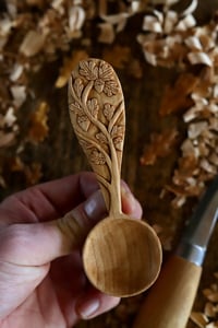Image 8 of The Oak tree Special Coffee Scoop
