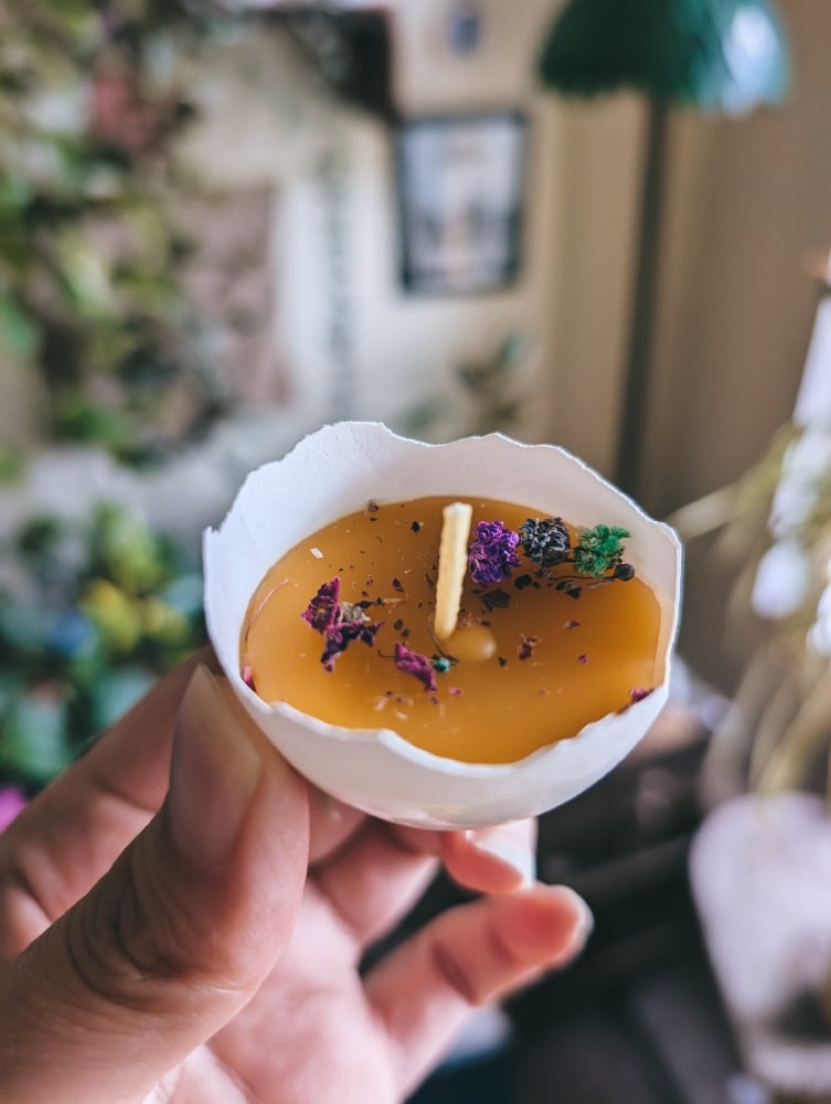 Image of Eggshell Tealights 