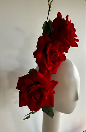 Image of Red, red roses.