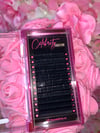 Lash Trays