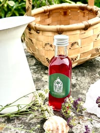 Image 2 of SIDRA DE FUEGO  DE BAYAS DE SAÚCO