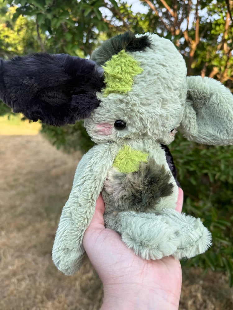 Image of moss collector