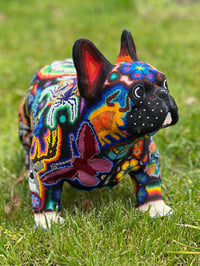 Image 4 of Large Frenchie 06