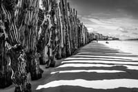 Image 1 of ENTRE OMBRES ET LUMIÈRES