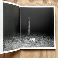 Image 4 of Tito Mouraz - The House Of The Seven Women 