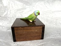 Image 20 of Handmade Custom Engraved Indian Ring Neck Parrot Urn Handpainted Pet Portrait