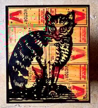 Image 1 of Victor the Barn Cat