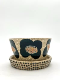planter 5