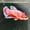 Image of Crimson Blue Startail Koi Male HMPK