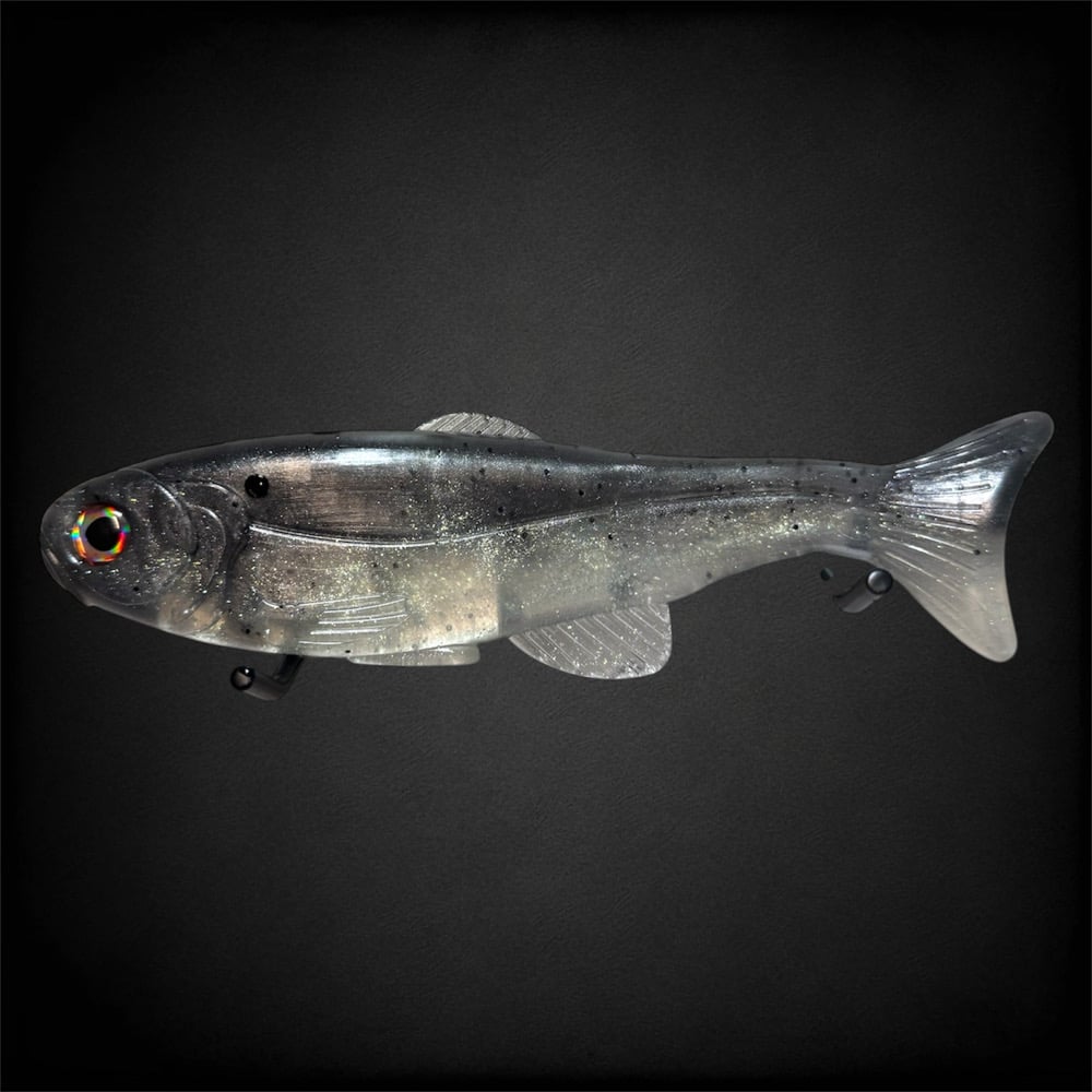 SD Shad - Image 2