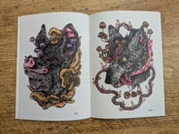 Image 5 of Fungi Vol. 8 