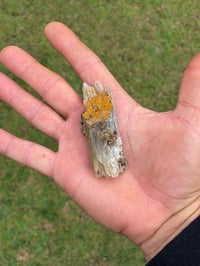 Image 11 of Blue Barite Specimen #1908