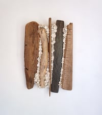Image 1 of All things Growing Together- Cara O'Brien