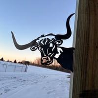 Image 1 of Longhorn Bull - Outdoor