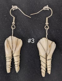 Image 3 of Large Deer Molar Earrings