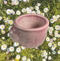 Espresso Cup Fushia 
