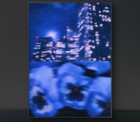 Image 4 of PANSY, NIGHT DRIVE