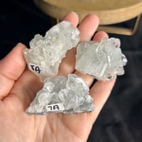 Image 1 of Apophyllite Specimens ($7-$8)