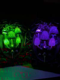 Image 2 of Inky cap frame led