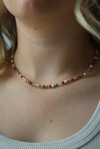 Image 1 of Blush and Bark 