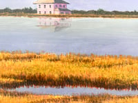 Image 4 of The Spite House- Bruce Peeso