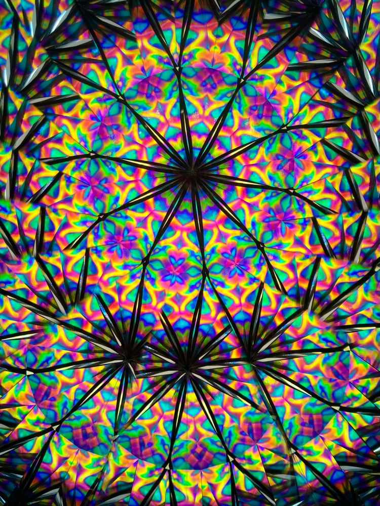 Natural Connection Image 11