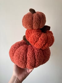 Image 7 of Fluffy pumpkin - Large.