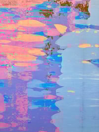 Image 4 of Shiny Springs