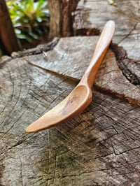Image 3 of Callistemon cooking/serving spoon.