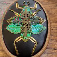 Image 2 of Mantis  (a, 4x5 inches)