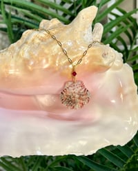 Image 1 of Scallop Shell Necklace N200