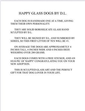 Image of Chico the Chiahuahua