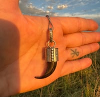 Image 4 of Wolf claw pendant 