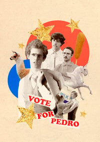 Image 2 of Collage Napoleon Dynamite 