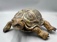 Image 1 of On a quest for harmony- Julie Kradel