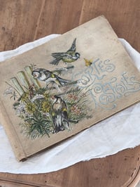 Image 12 of Anciens albums à cartes postales