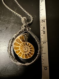 Image 2 of Ammonite (Floating Pendant)