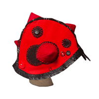 Image 2 of spiked lady bug