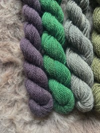 Image 4 of Mini Bundle #6 - 100G Hand Dyed Kent Romney Mini Skeins