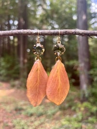 Image 1 of Rust and Petal Earrings 