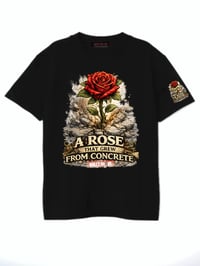 Image 1 of “The Rose That Grew From Concrete”